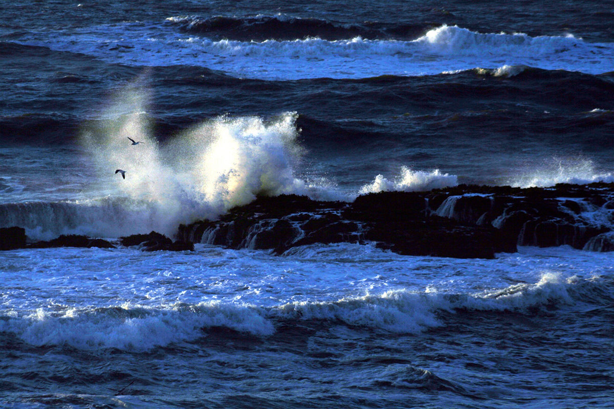 Pacific ocean.