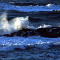 Why did the Earth’s ancient oceans disappear?
