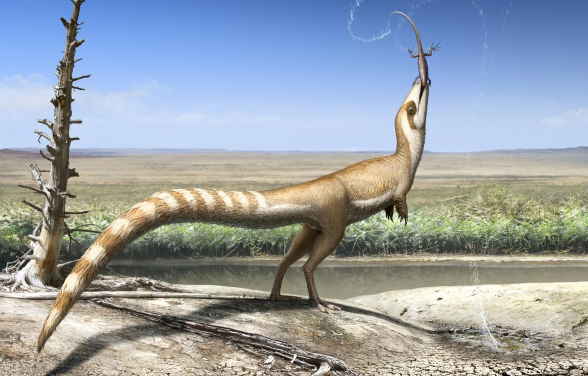 Sinosauropteryx in the likely open habitat in which it lived 130 million years ago in the Early Cretaceous. Credit: University of Bristol 