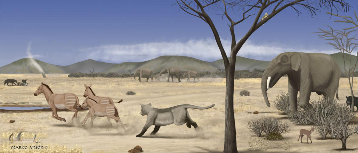 This is an image of an arid savanna during the middle Miocene in Madrid. Credit: Marco Ansón