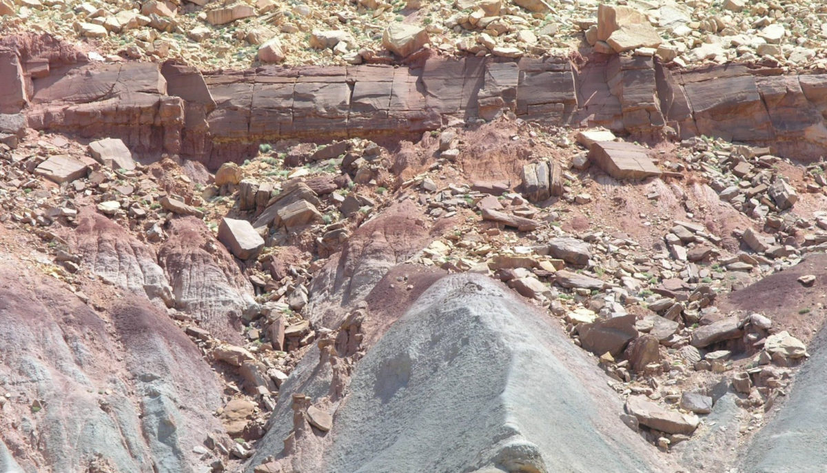 New pollen and spore data from the Chinle Formation at the Petrified Forest National Park, Arizona, suggest that a extinction of plants occurred between 213 and 217 million years ago in tandem with an extinction of several reptile groups.