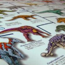 Time to rewrite the dinosaur textbooks? Not quite yet!