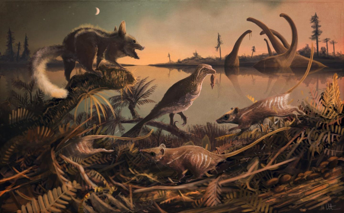 Reconstruction of the small, rat-like creatures that lived 145 million ago in the shadow of the dinosaurs. Credit: Dr Mark Witton, palaeo-artist, University of Portsmouth