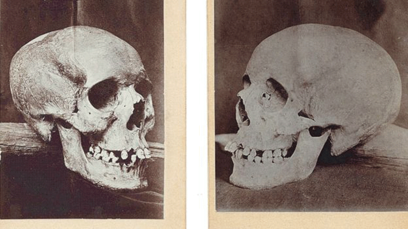The skull was photographed before disappearing some time in the 20th Century. Photo Credit: BBC.