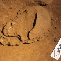 Discovery of world’s oldest funerary fish hooks by ANU archaeologists