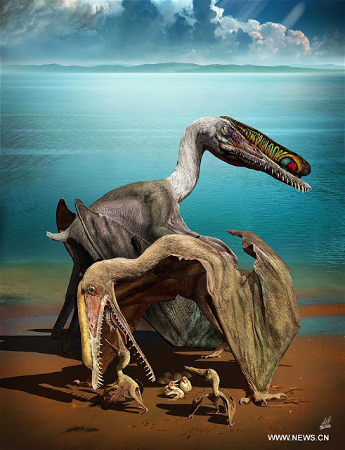 Exceptionally preserved eggs and embryos reveal the life history of a  pterosaur