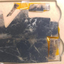 Oldest fossils ever found show life on Earth began before 3.5 billion years ago