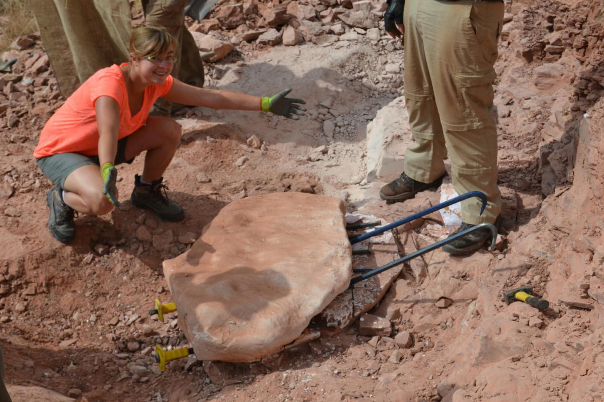 PhD student Kimberley Chapelle at work in the field. Credit: Wits University