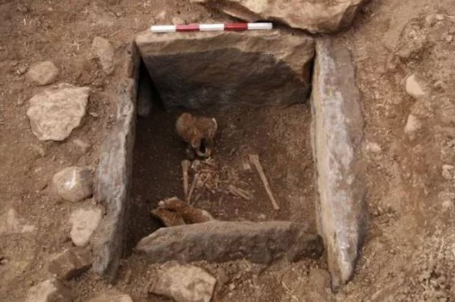 Northumberland skeleton: The Bronze Age remains were found in a cist in a field. Photo: Jessica Turner