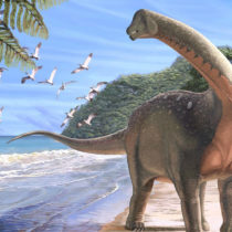 New Egyptian dinosaur reveals ancient link between Africa and Europe