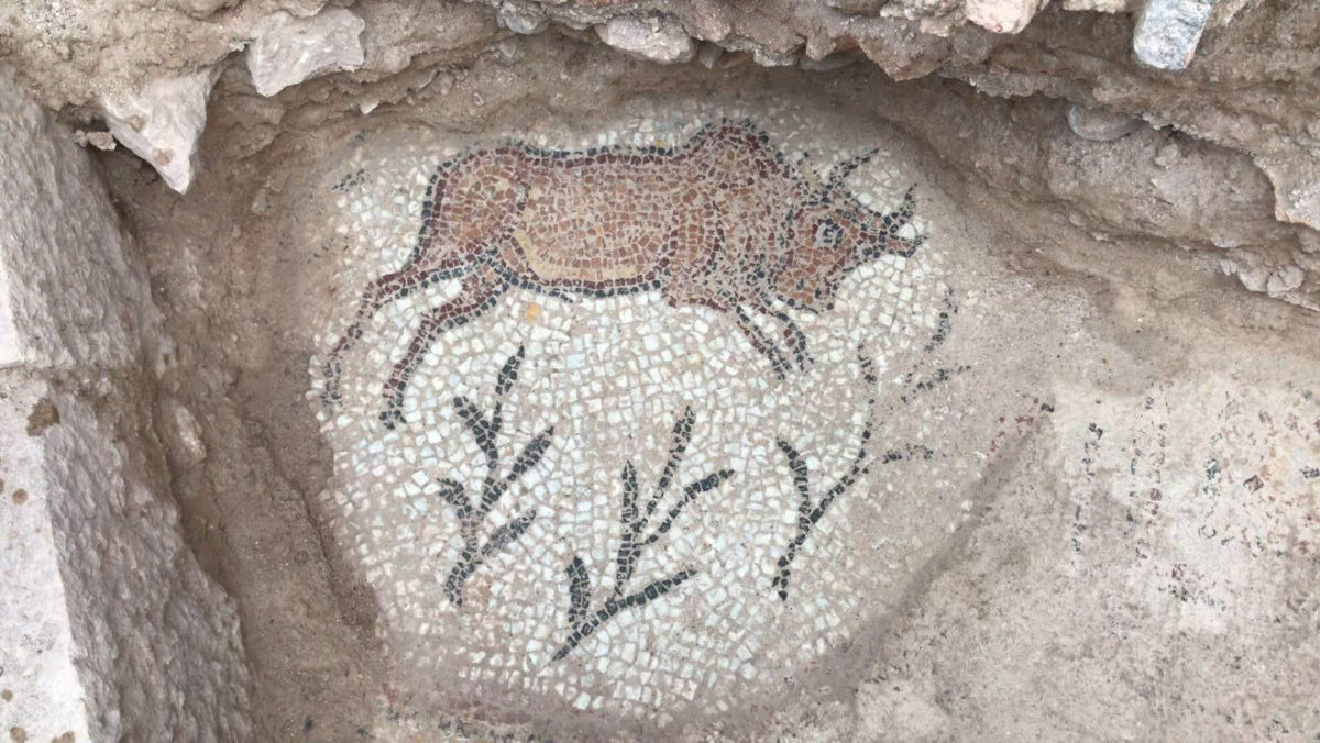 Mosaic found in the structure. AA Photo
