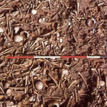 Radiocarbon dating reveals mass grave did date to the Viking age