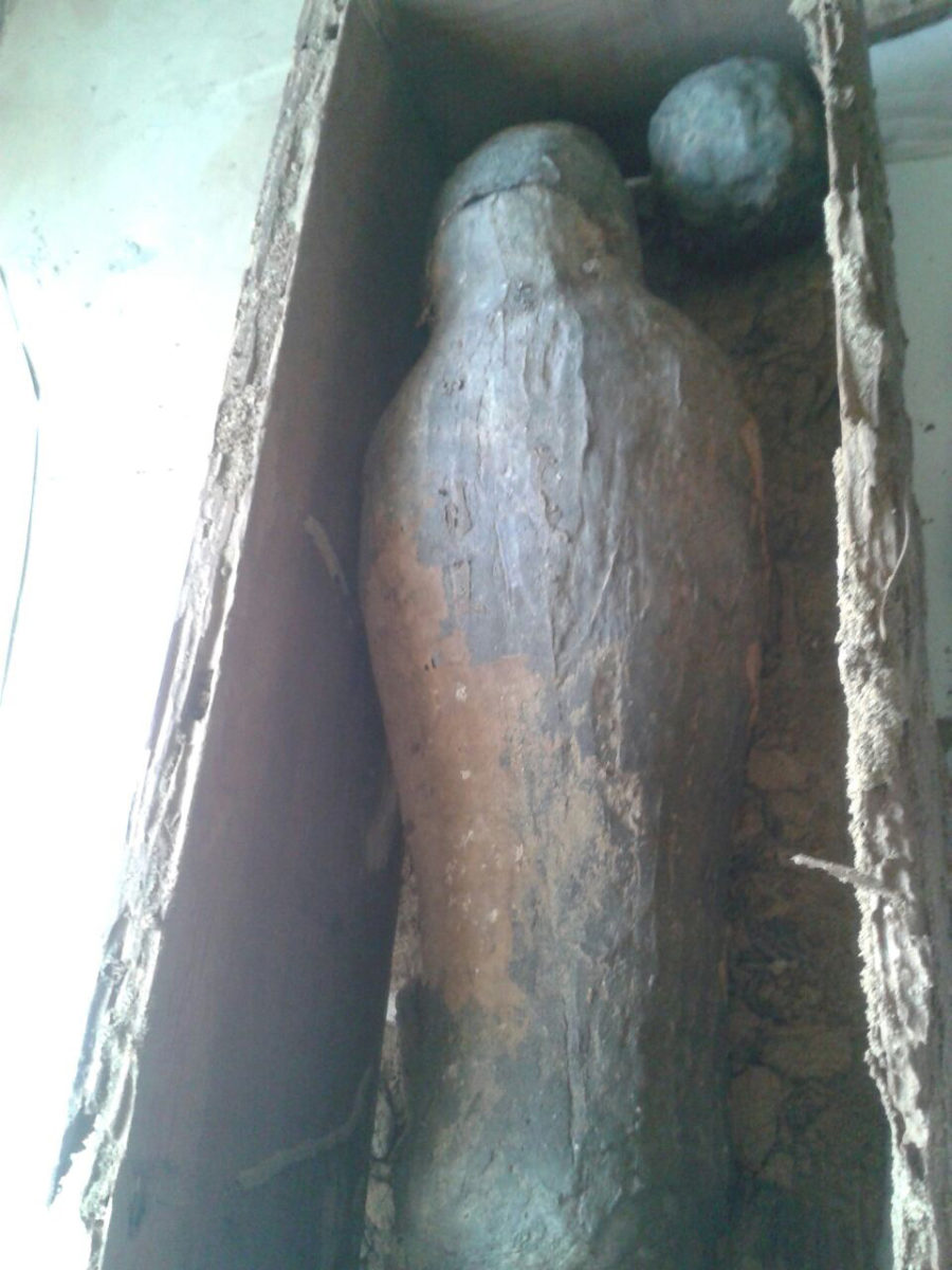 A mummy that may belong to a bird (Egypt's Ministry of Antiquities).