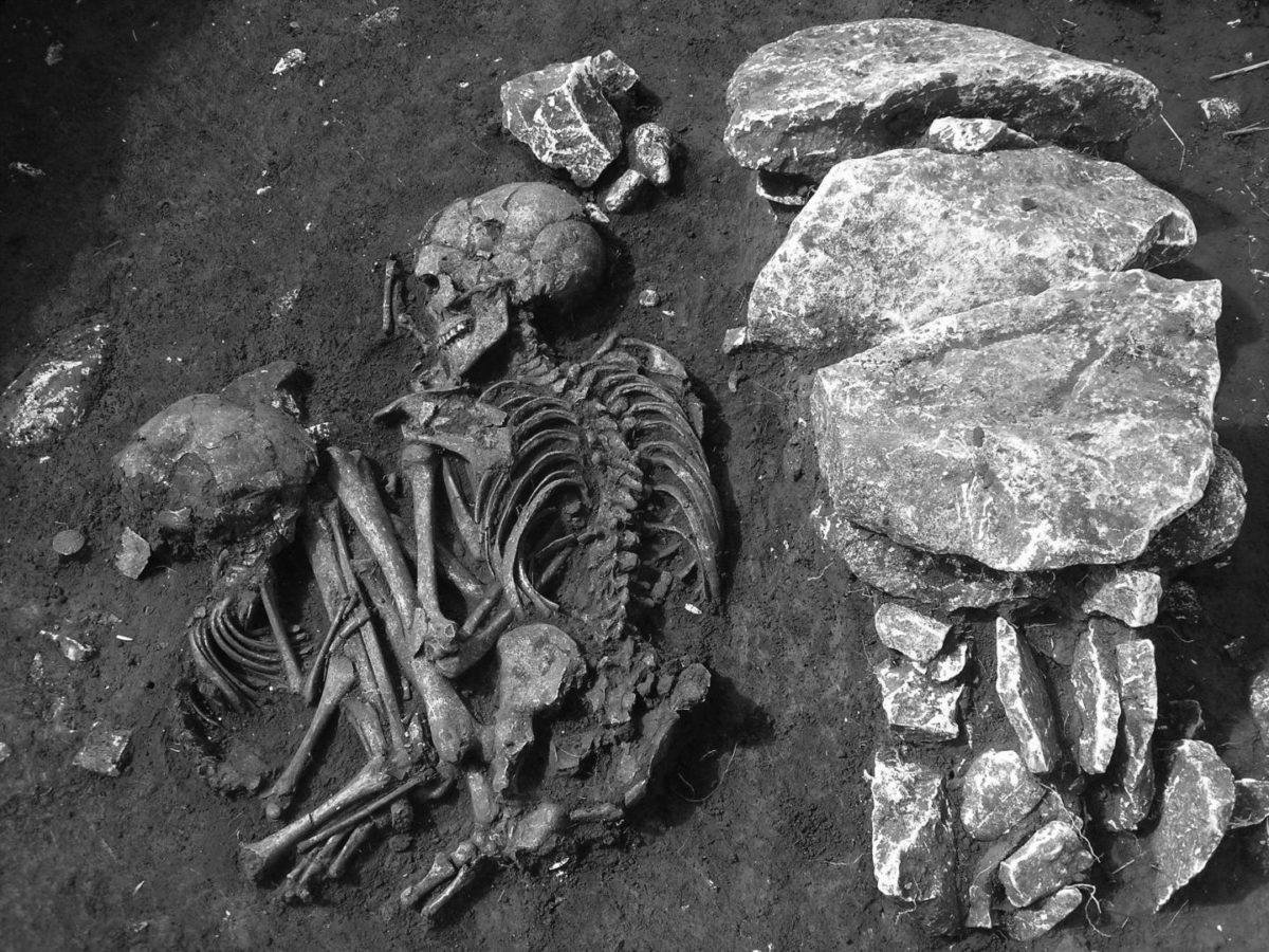 This field excavation photo shows a double burial in Kargadur, located in Istria County, Croatia. The skeletal remains are among 225 skeletal remains sampled in a study of two major migrations across southeastern Europe during prehistoric times. 
Credit: Darko Komšo