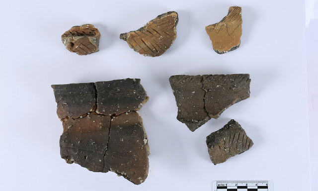 Pottery fragments from the site. Credit: Wessex Archaeology