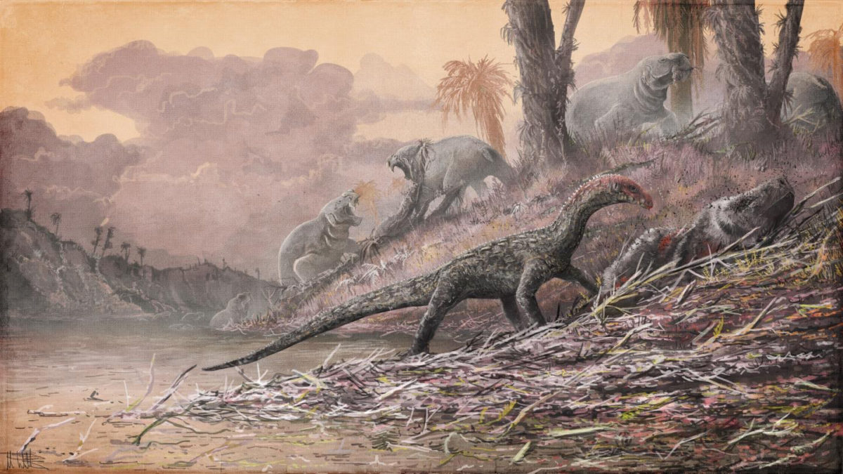 Teleocrater, an early dinosaur relative, is shown feeding on Cynognathus. Image credit: Mark Witton/Natural History Museum, London