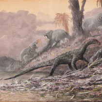 Decade of fossil collecting gives new perspective on Triassic period, emergence of dinosaurs