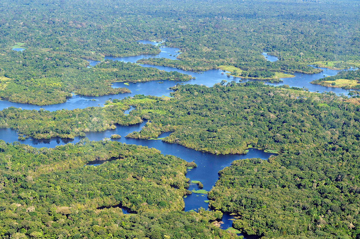 Huge parts of the Amazon are still unexplored by archaeologists, particularly areas away from major rivers.
