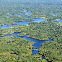 Parts of the Amazon thought uninhabited were actually home to up to a million people