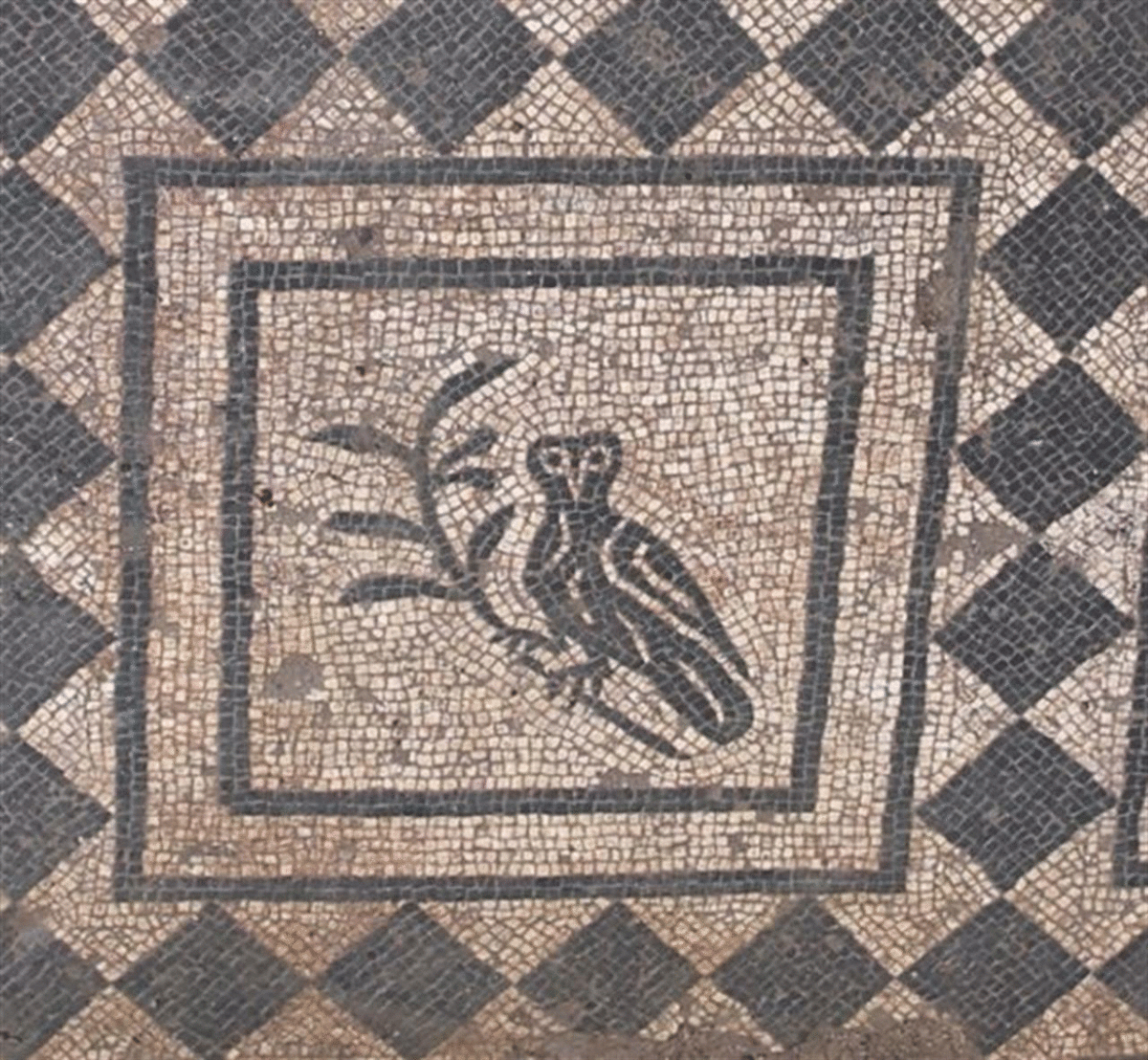 A detail from a mosaic depicting an owl. Photo Credit: Soprintendenza Speciale Archeologia Belle Arti e Paessaggio di Roma/The History Blog.