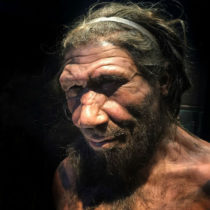 Compassion helped Neanderthals to survive, new study reveals