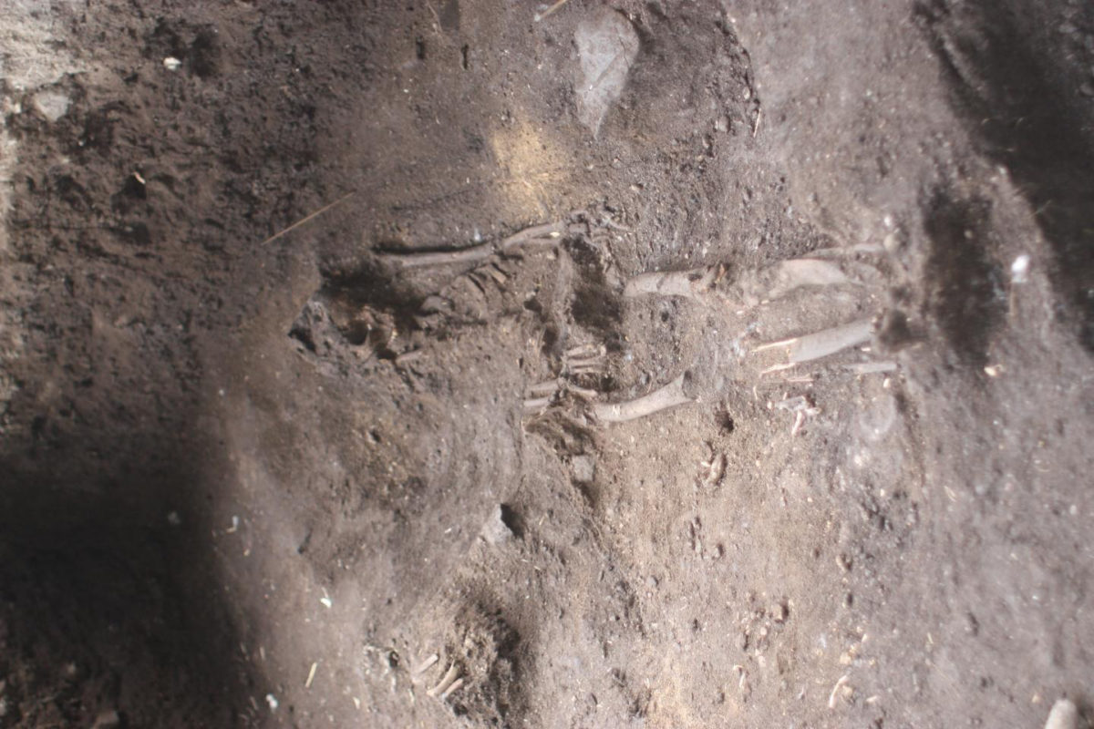 Burial excavations on Uripiv island Malakula. Credit: ANU