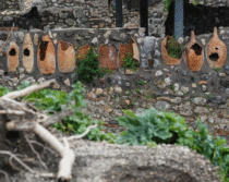 Pompeii site yields new astonishing findings