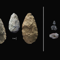 Scientists discover evidence of early human innovation