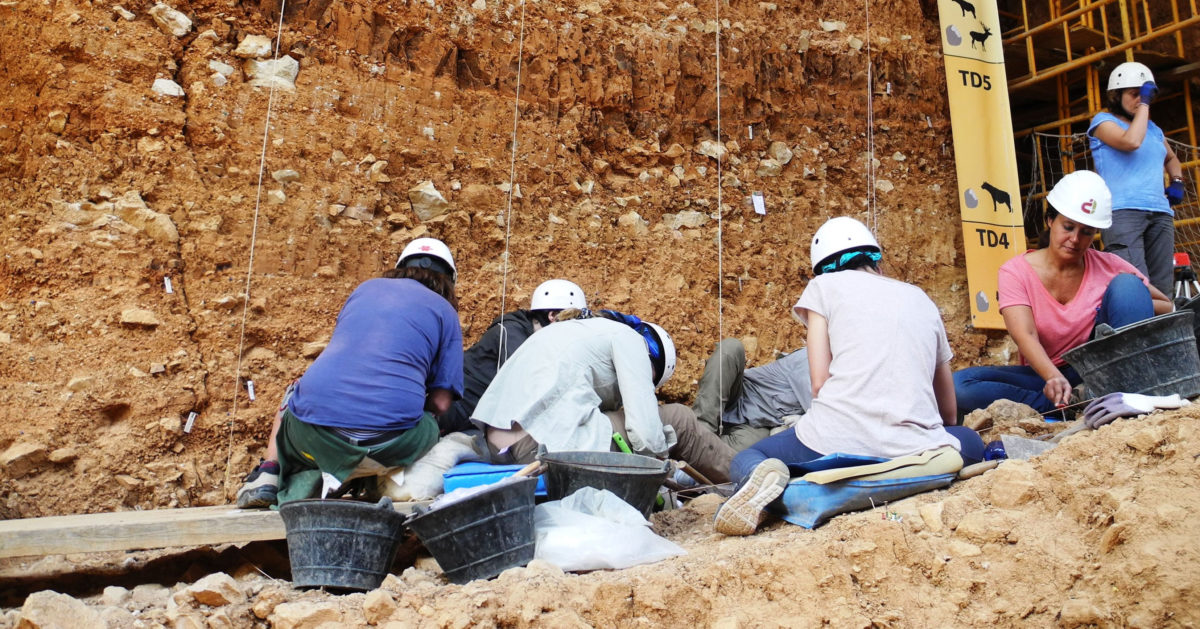 TD4 level at Gran Dolina site/CENIEH.