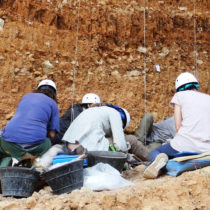 Human dispersion through southern Europe in Early Pleistocene
