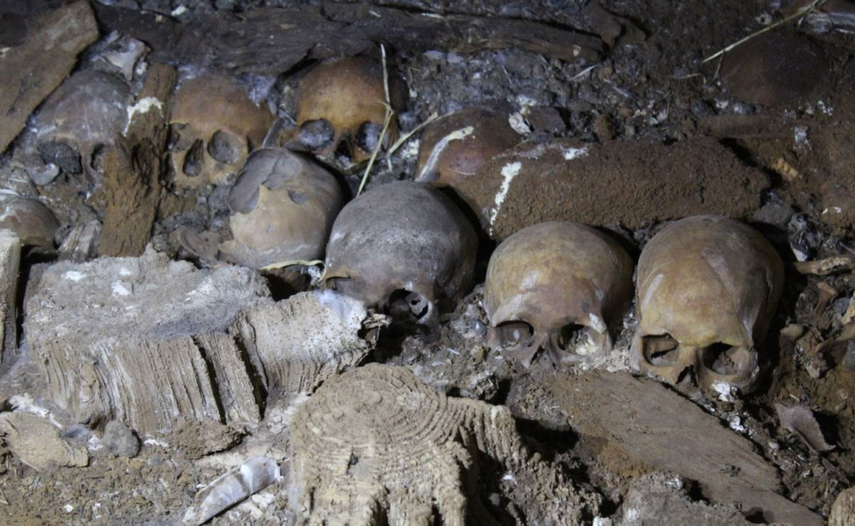 Remains discovered in Biniadris Cave (UGR).