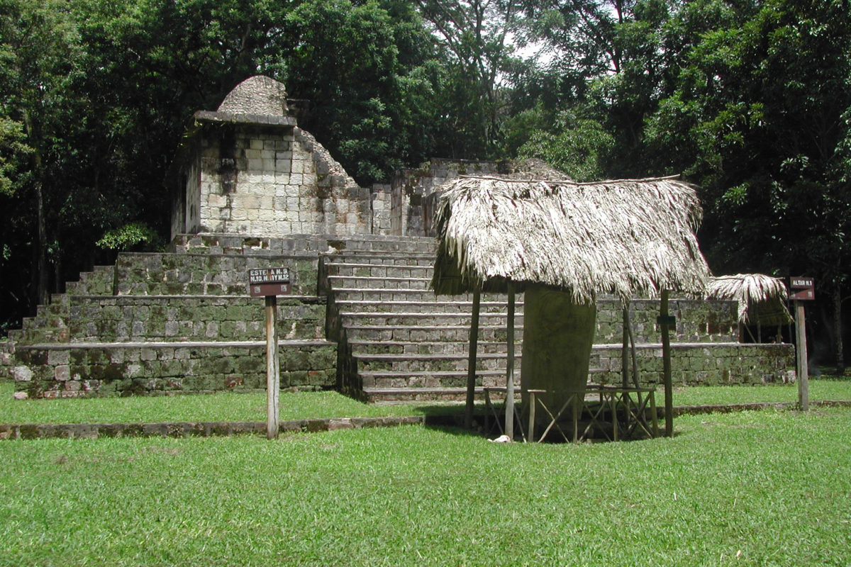 Ceibal Temple. Credit: Ashley Sharpe 