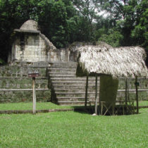 First evidence of live-traded dogs for Maya ceremonies