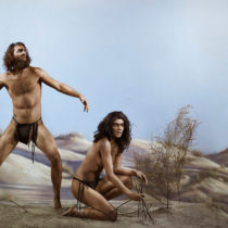 Modern humans interbred with Denisovans twice in history