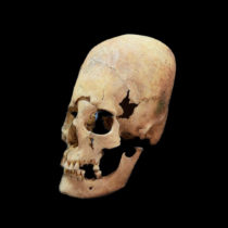 New insights into the origin of elongated heads in early medieval Germany