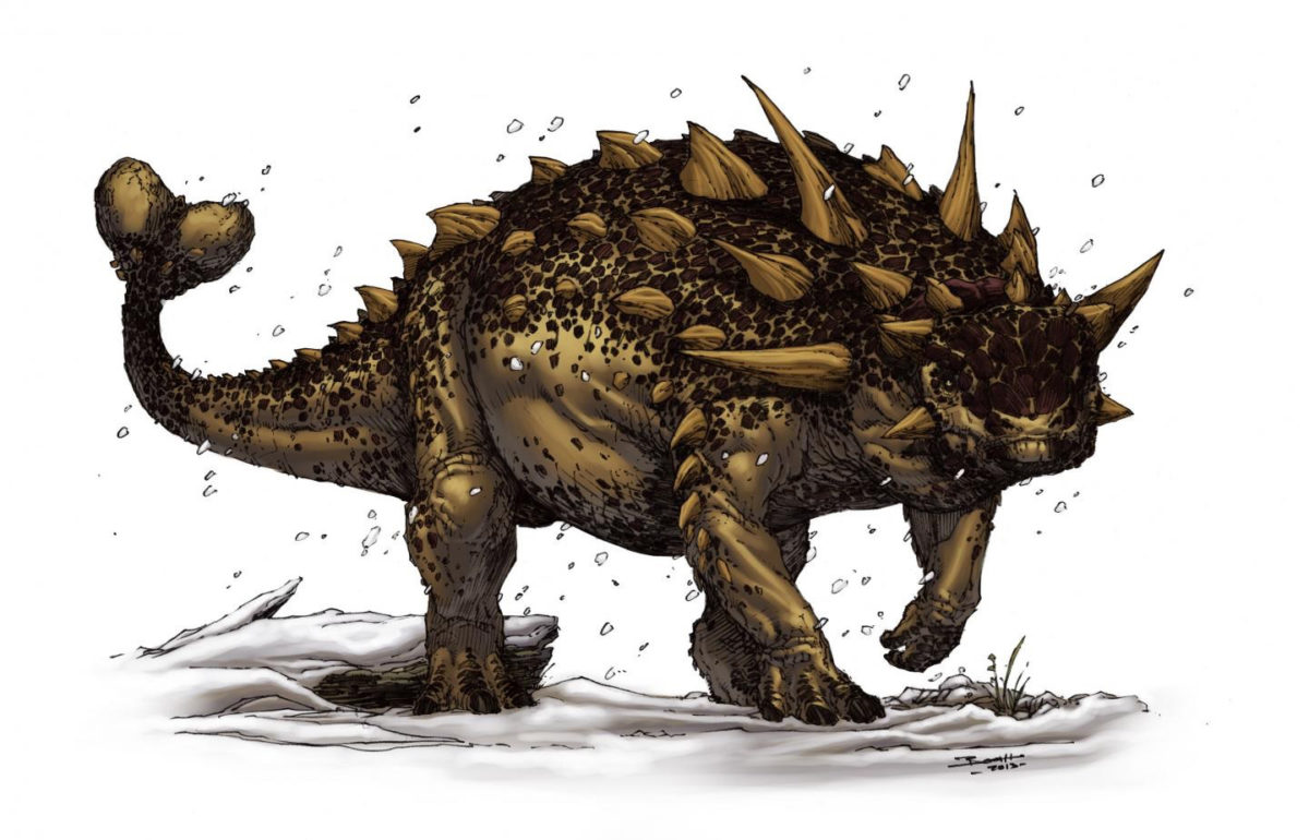 This is an illustration of Euoplocephalus, an ankylosaur. Ankylosaurids are sometimes called the ‘tanks of the Cretaceous’ given their squat bodies and armored hides. Credit: Brett Booth © Brett Booth
