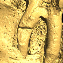 Researchers add 700 years to Malta’s history