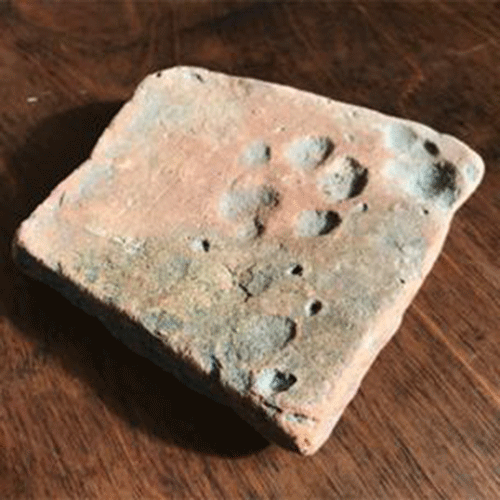 Leaving their mark: An animal paw recorded in a tile. Photo Credit: L. Maiklem/BBC.