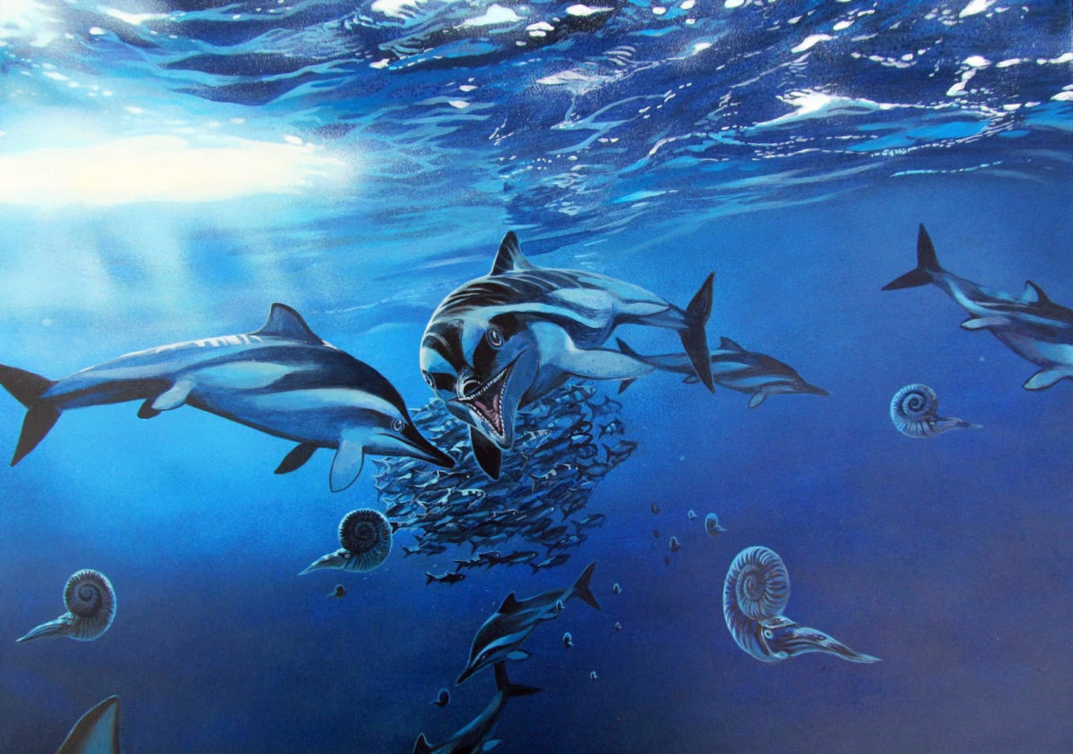Ichthyosaurus life restoration. Credit: James McKa