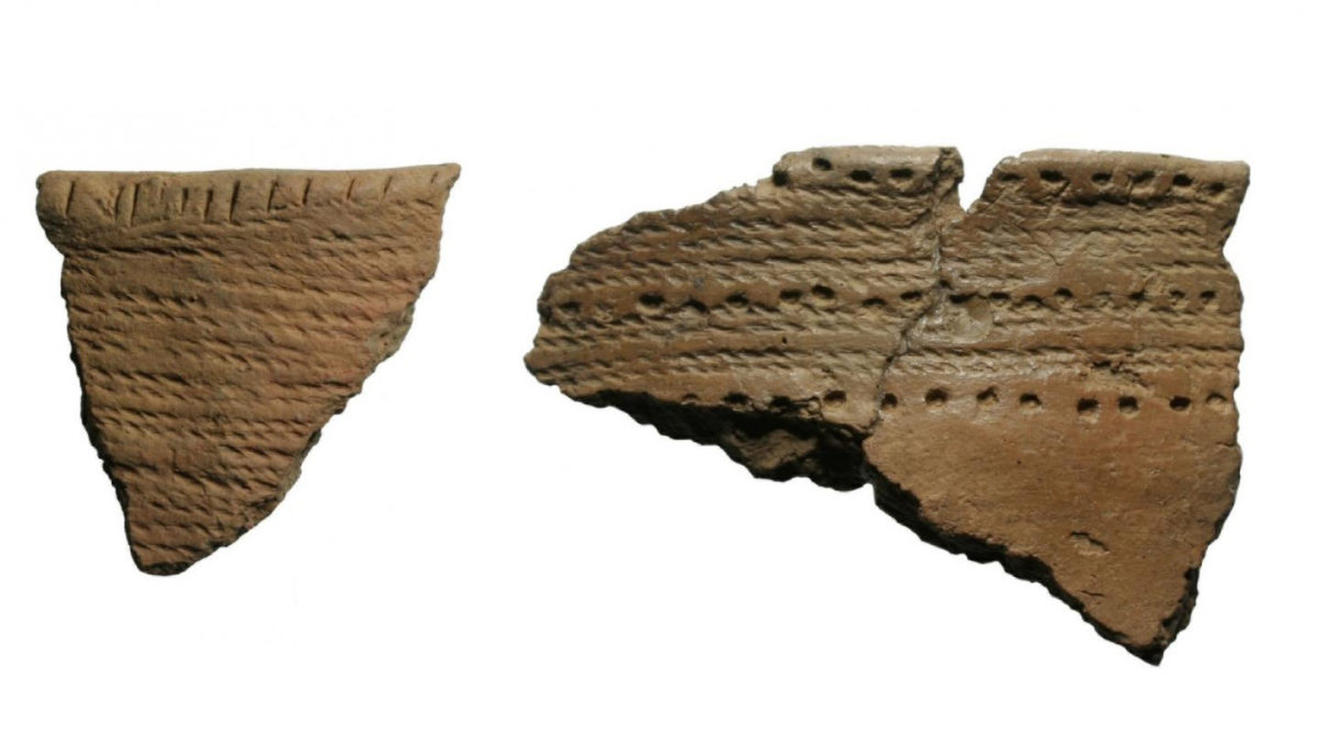 These are Neolithic Corded Ware pottery recovered in Southern Finland. Credit: Elisabeth Holmqvist-Sipilä.