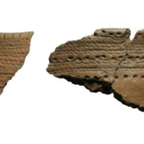 Skilled female potters travelled around the Baltic nearly 5000 years ago