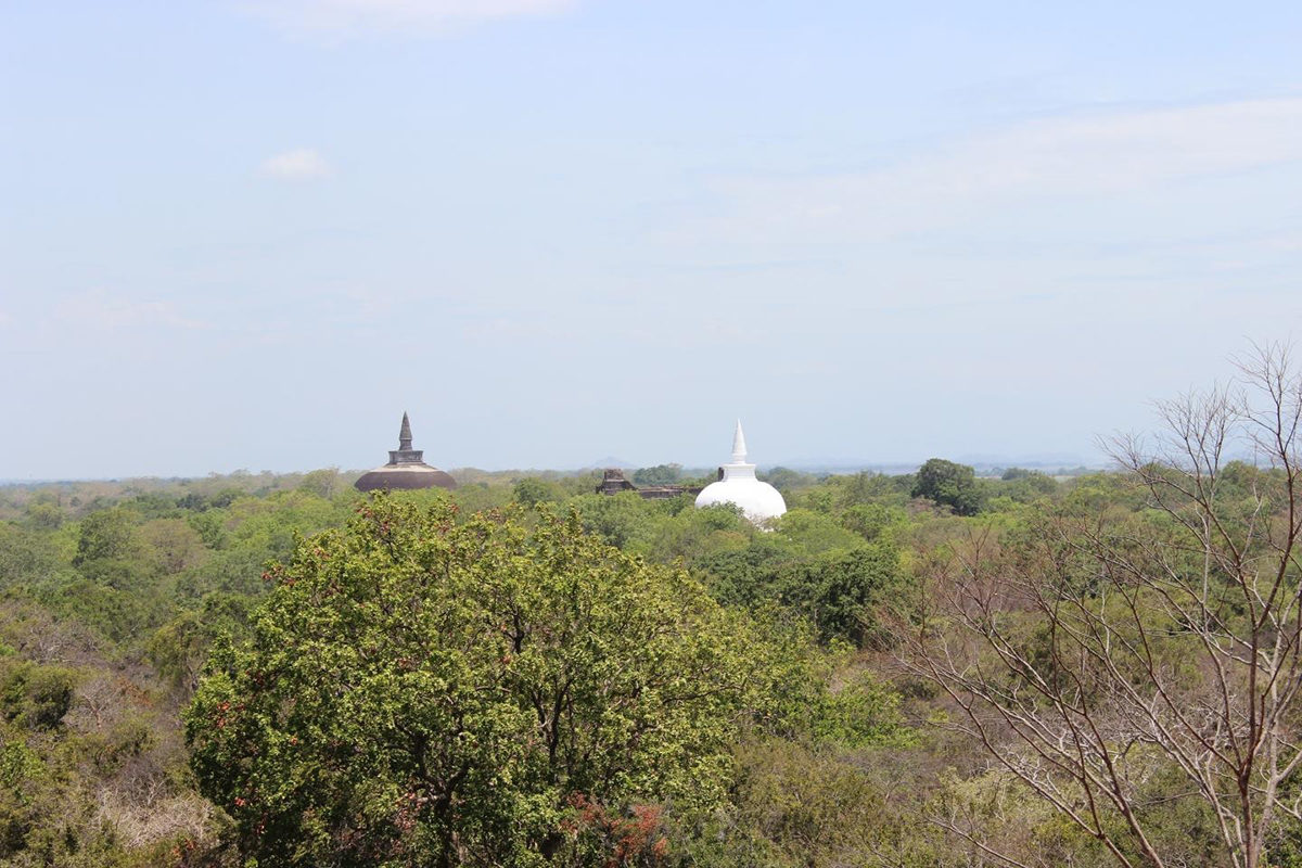 Relic Buddhist stupas rising out of the tropical forest at Polonnaruwa, Sri Lanka. Credit: PAtrick Roberts