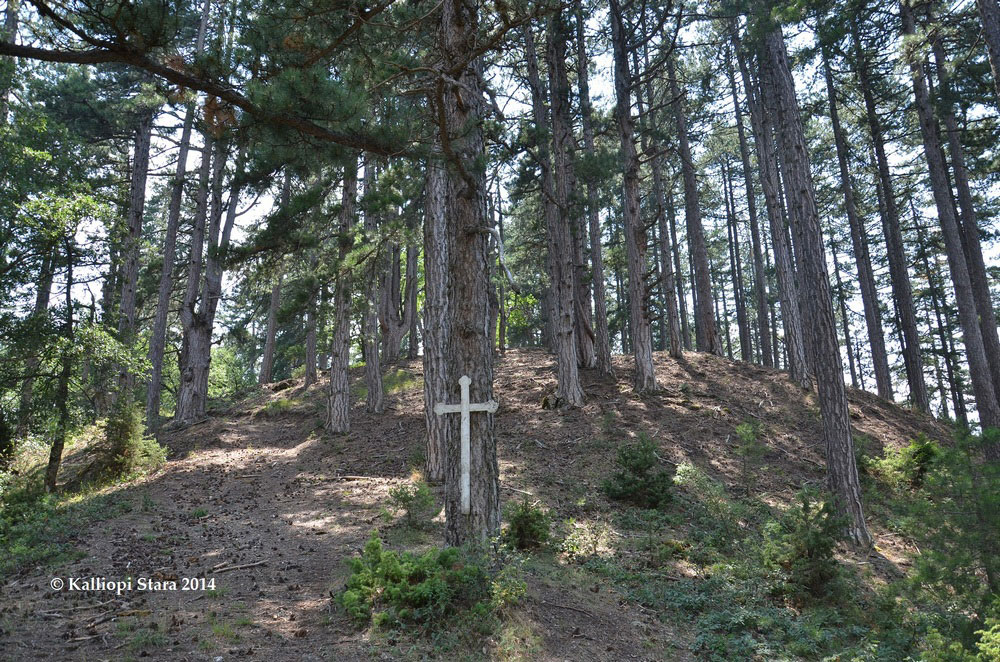 A cross on the tree of a sacred forest (photo: Kalliopi Stara).