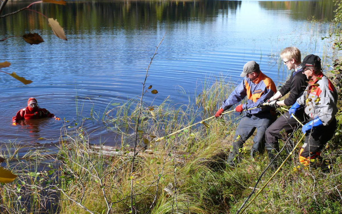 A subfossil tree trunk being lifted out of a lake.
Credit: Samuli Helama / Natural Resources Institute Finland