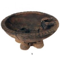 MSU scientists found the seeds of domestic plants in the burial sites of ancient nomads