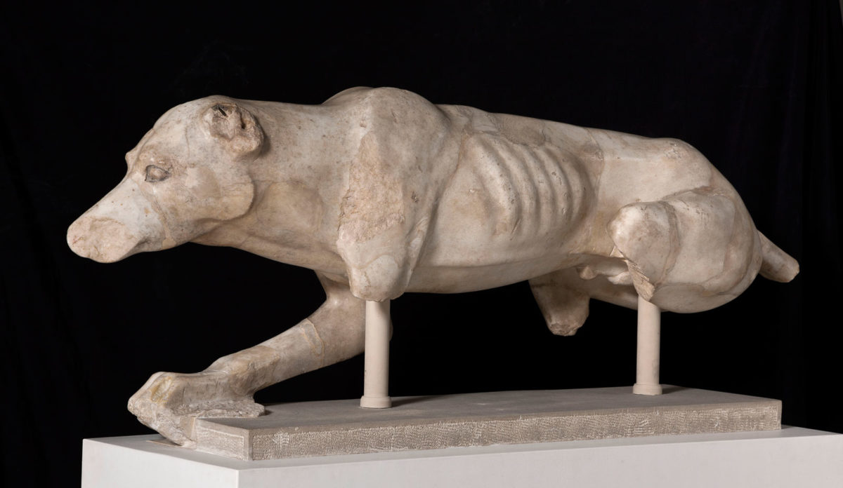 Acropolis hunting dog.
Acropolis Museum, around 520 BC (Acr. 143). (Photo: Acropolis Museum)