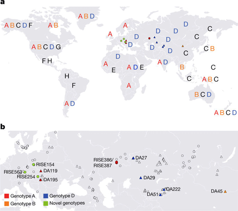 Geographical distribution of analysed samples and modern genotypes. Image Credit: Nature.