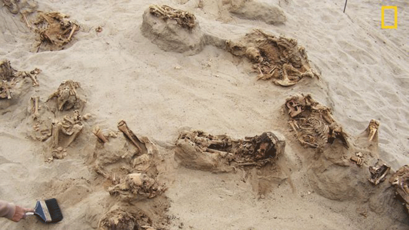 Preserved in dry sand for more than 500 years, more than a dozen children were revealed over the course of a day by archaeologists. The majority of the ritual victims were between eight and 12 years old when they died. Photo Credit: Gabriel Pietro/John Verano/National Geographic.