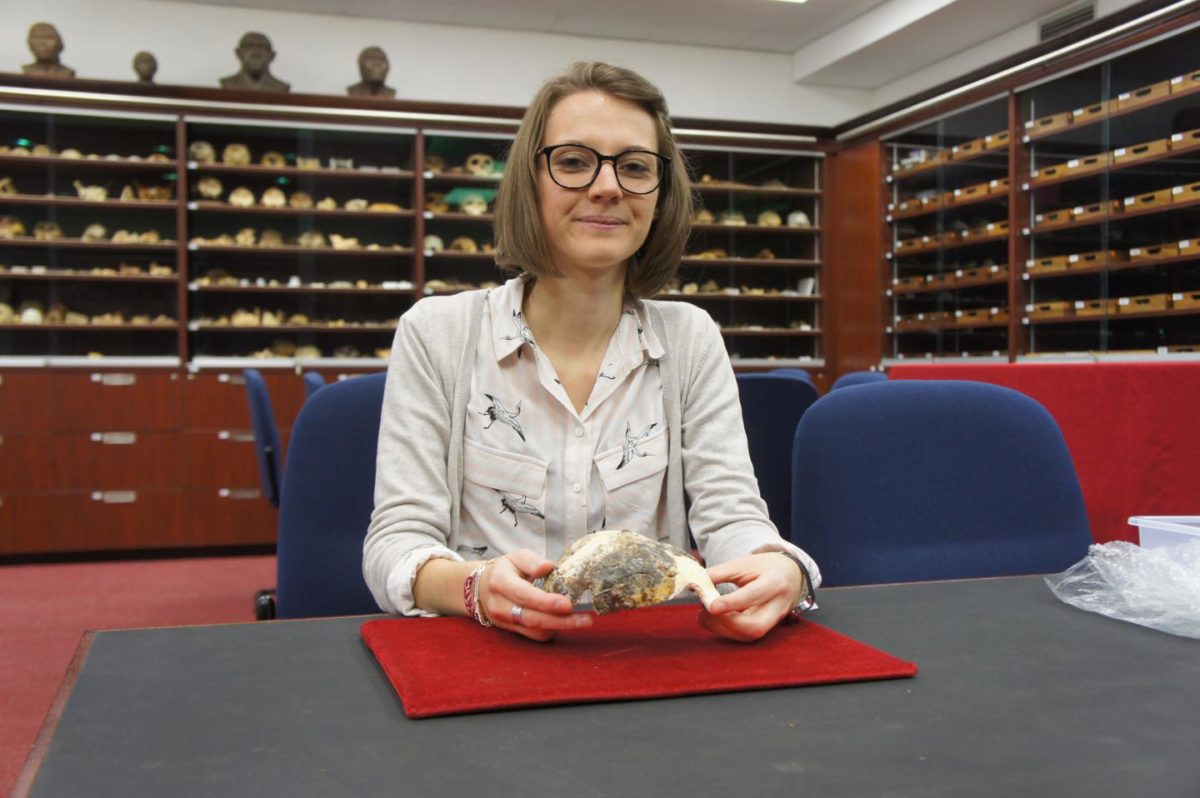 Dr. Amelie Beaudet.
Credit: Wits University