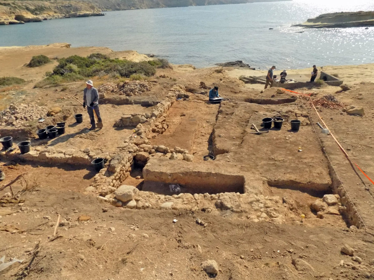 View of the excavation site. 